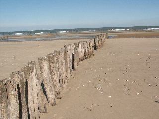 Ces pieux servent à briser les vagues